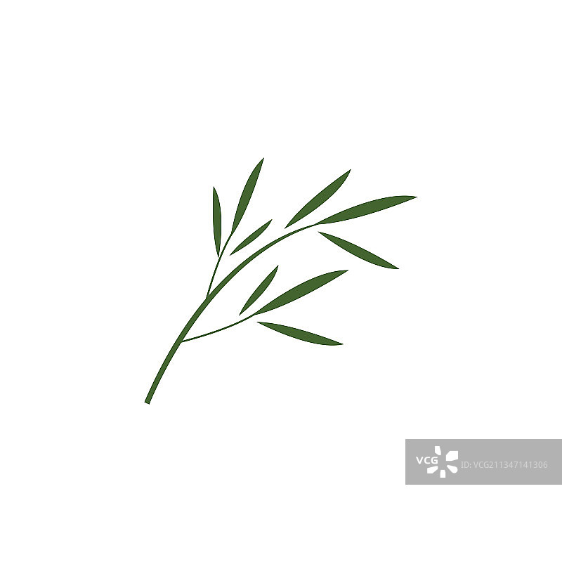 竹子与绿叶图片素材