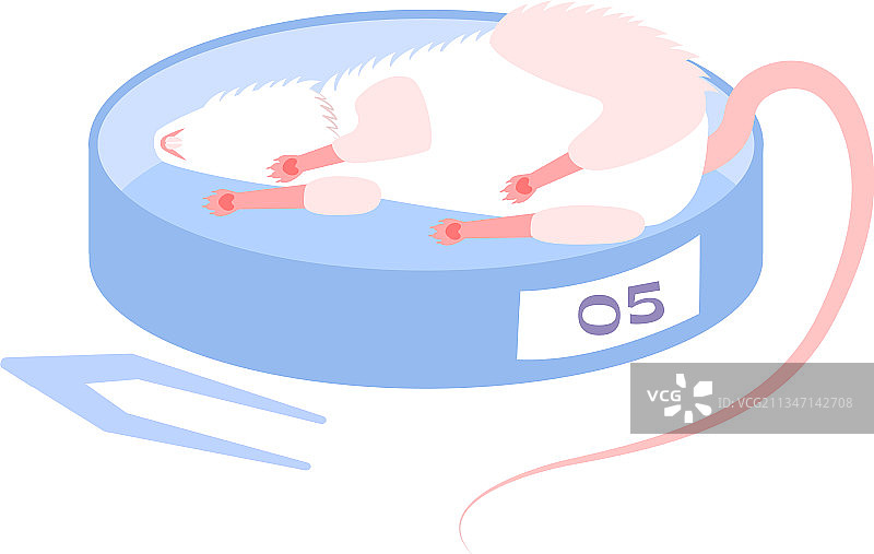 动物实验图标图片素材