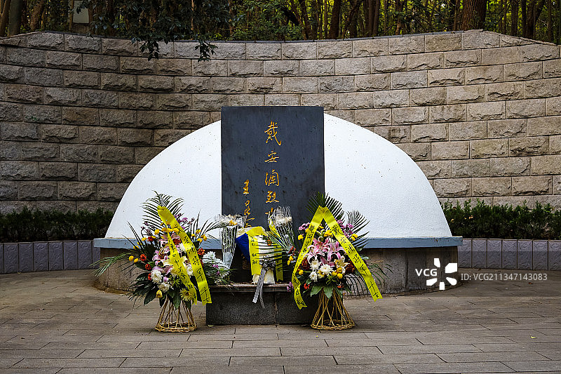 安徽芜湖戴安澜将军墓地及铜像图片素材
