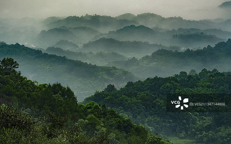 原始森林图片素材