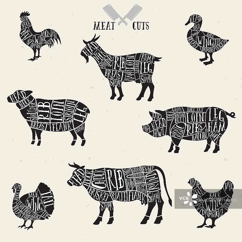 肉店 схеме 肉类切割图图片素材