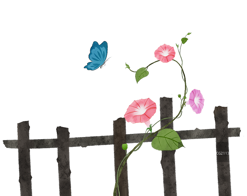 篱笆牵牛花蝴蝶中式素材图片素材