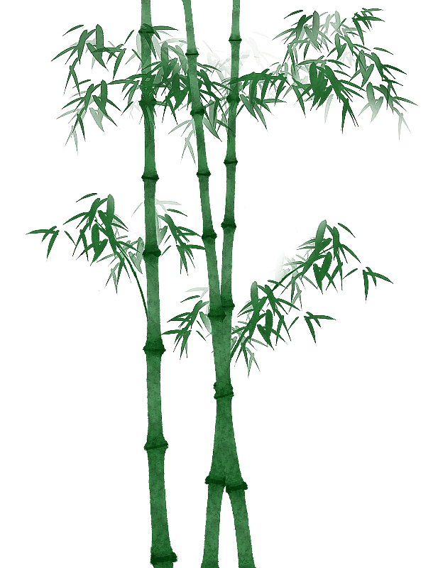 绿色竹子植物插画素材图片素材