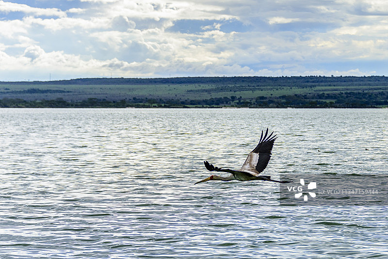 非洲肯尼亚纳库鲁埃尔门泰塔湖图片素材
