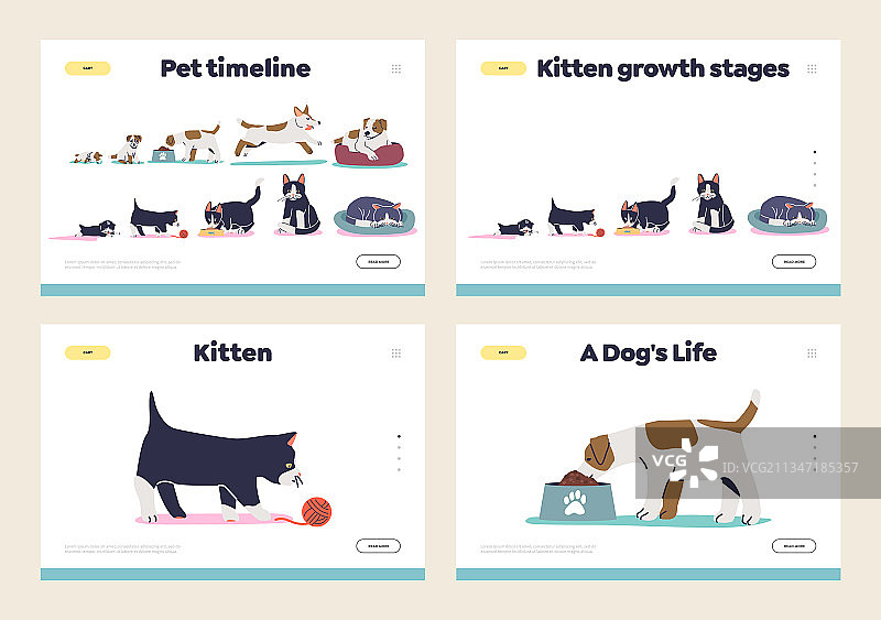 宠物生长与衰老概念合集图片素材