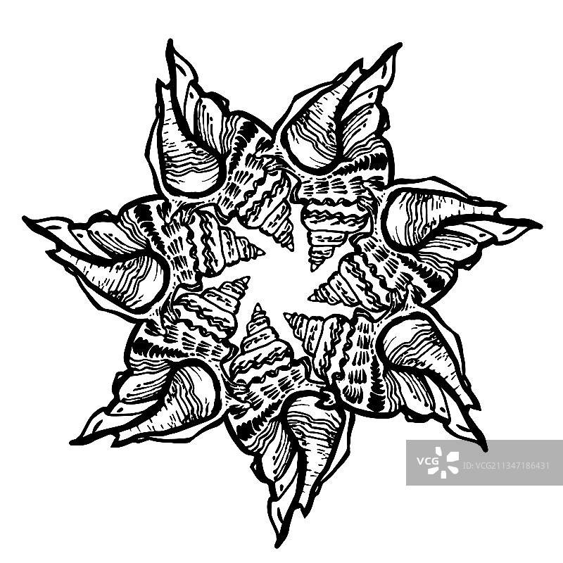 黑色墨水贝壳装饰圆形框架图片素材