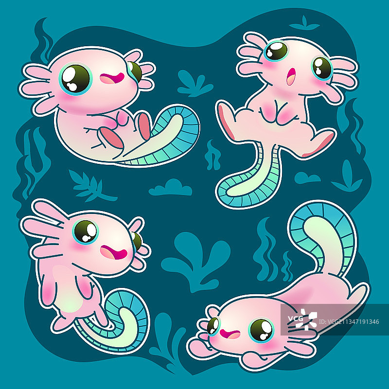 可爱墨西哥钝口螈集合，可爱蝾螈图片素材