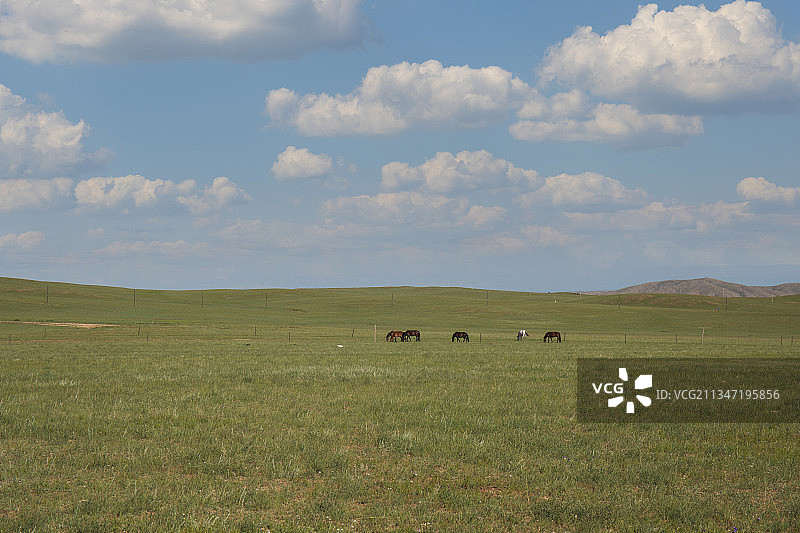 草原之上图片素材