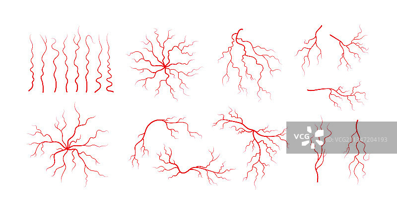 人体血管和动脉红色分支组合图片素材