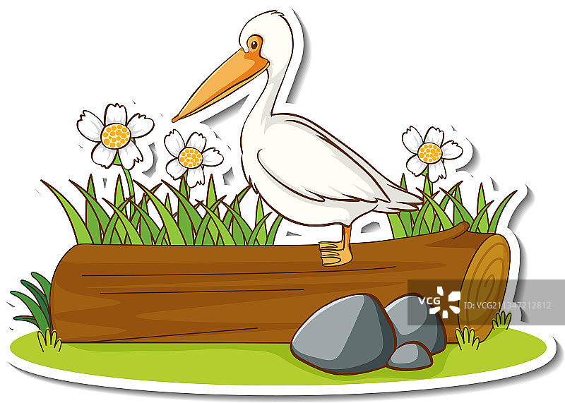 站在木头上的鹈鹕鸟贴纸图片素材