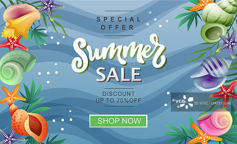 夏季促销banner，海螺与棕榈叶图片素材
