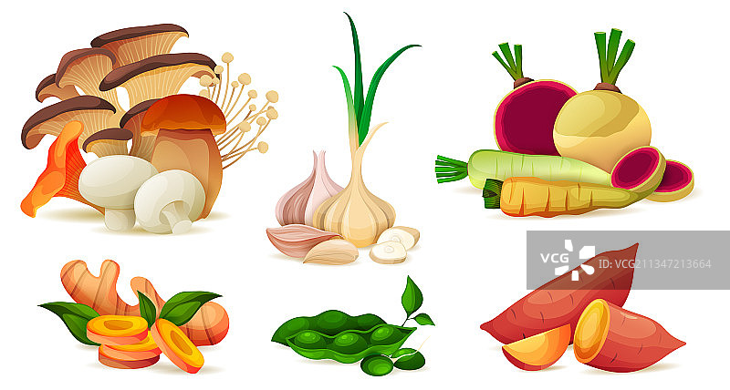 有机农场蔬菜维生素合集图片素材