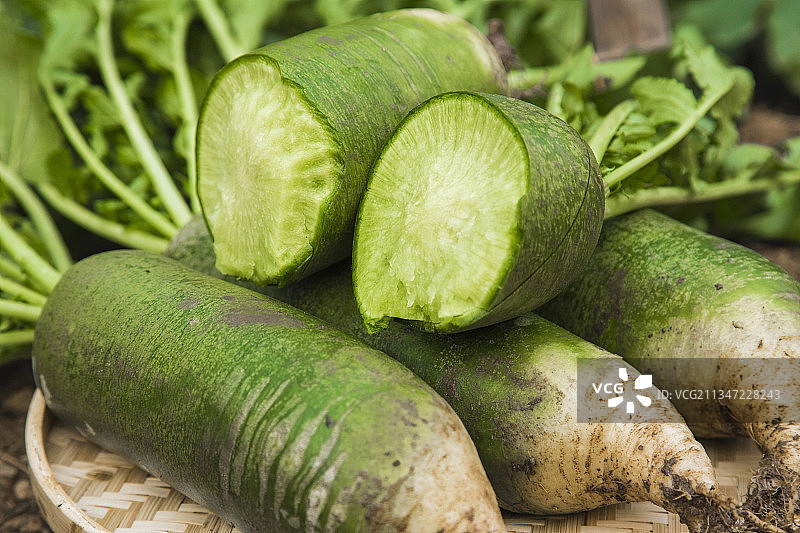 天津沙窝萝卜图片素材