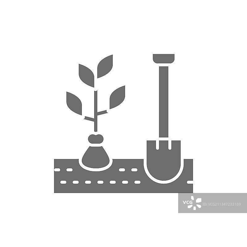 挖掘植物，种植树木图片素材