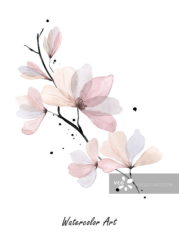 水彩粉色花卉自然艺术图片素材