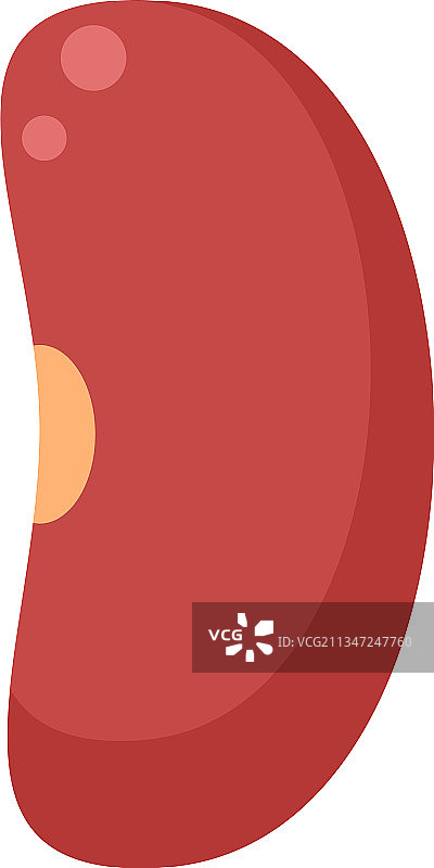 鹰嘴豆腰豆扁平图标图片素材