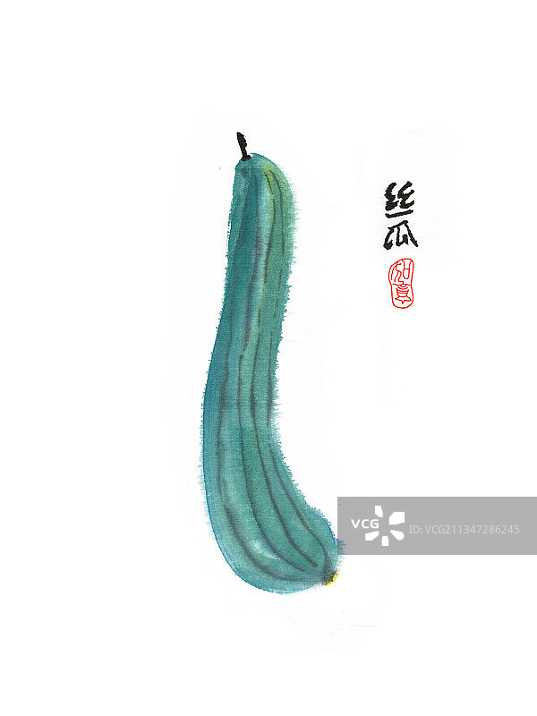 水墨设色国画小品 丝瓜图片素材