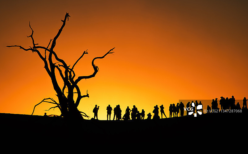 千年的等待——胡杨林图片素材