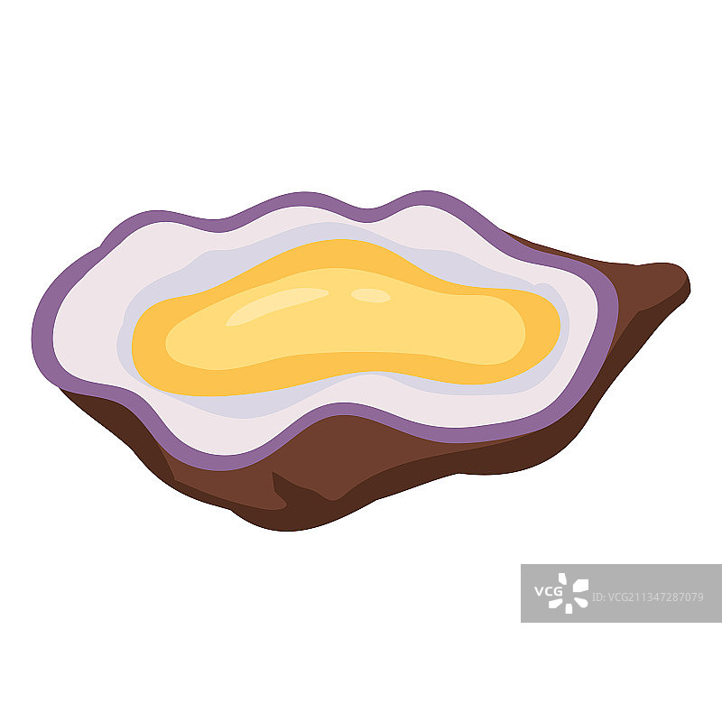 天然有机健康营养的牡蛎图片素材