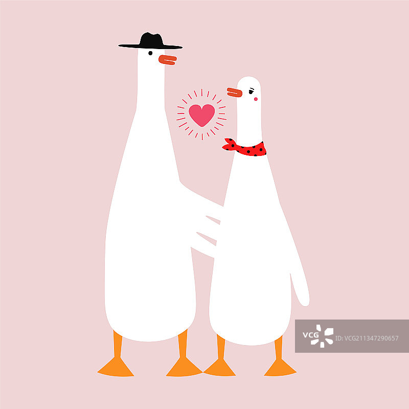戴帽子和围巾的浪漫情侣鹅图片素材