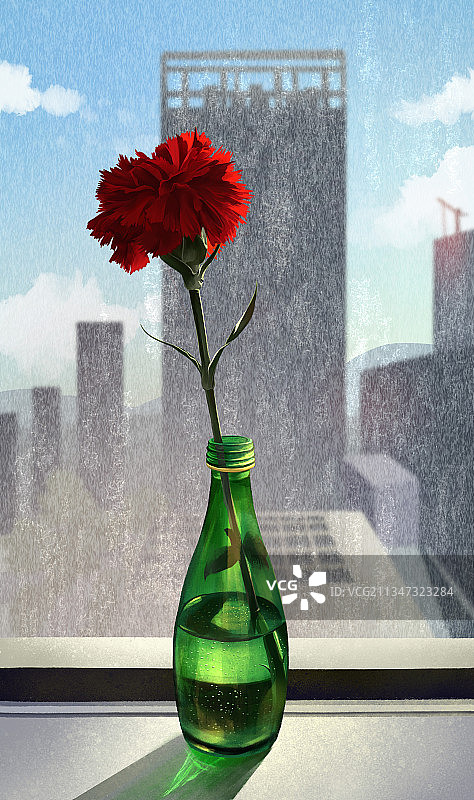 窗台上的红色康乃馨图片素材