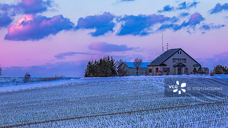 花田暮色.北海道图片素材