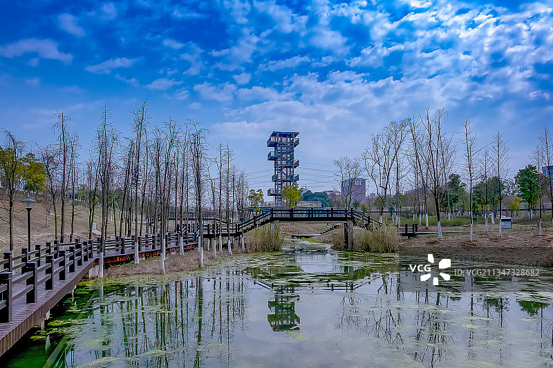 湖南最大的生态湿地湖泊－长沙松雅湖国家湿地公园图片素材
