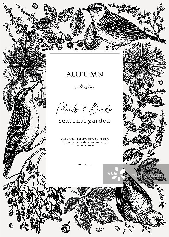 手绘野生图案复古秋季设计图片素材
