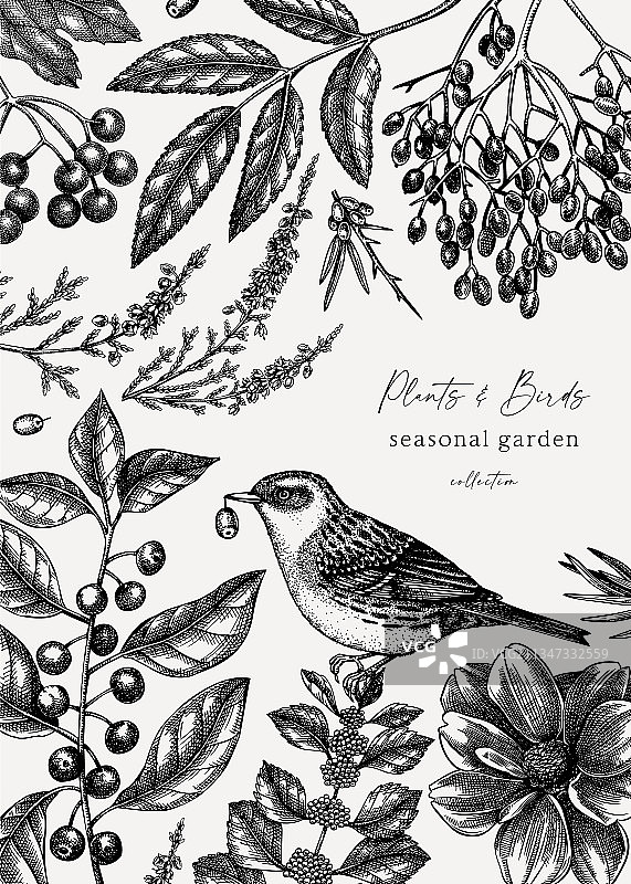 复古秋季小鸟植物设计图片素材