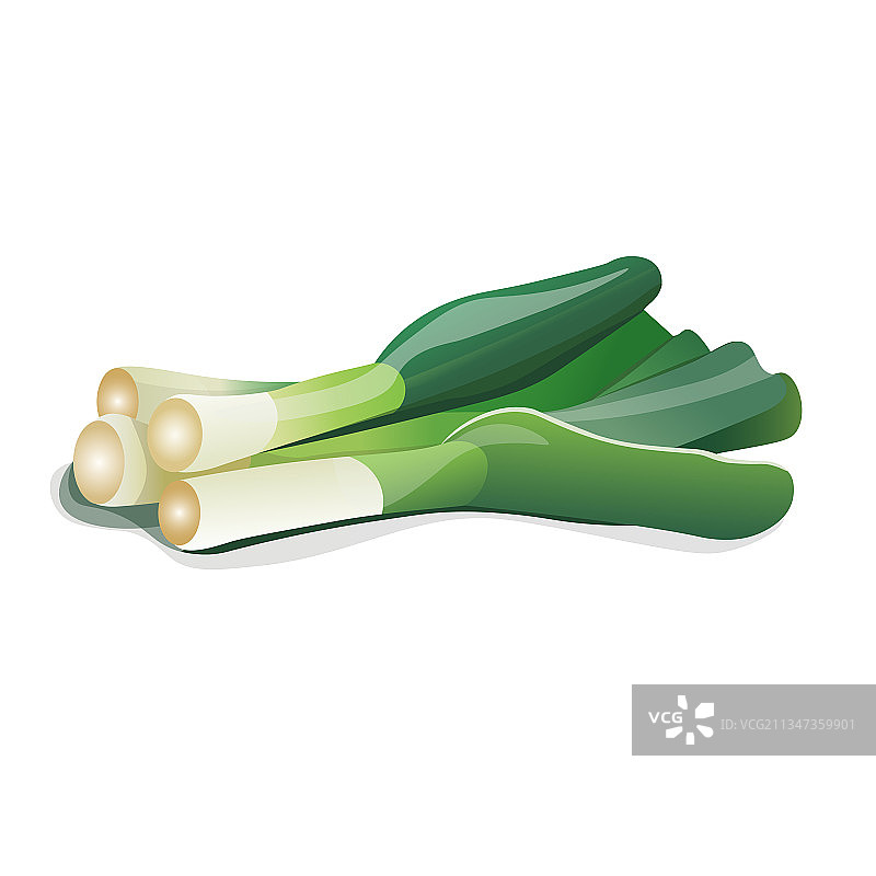 带光栅的韭葱图案图片素材