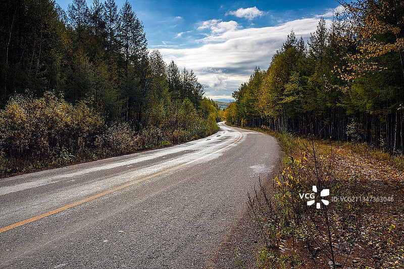 公路秋色图片素材