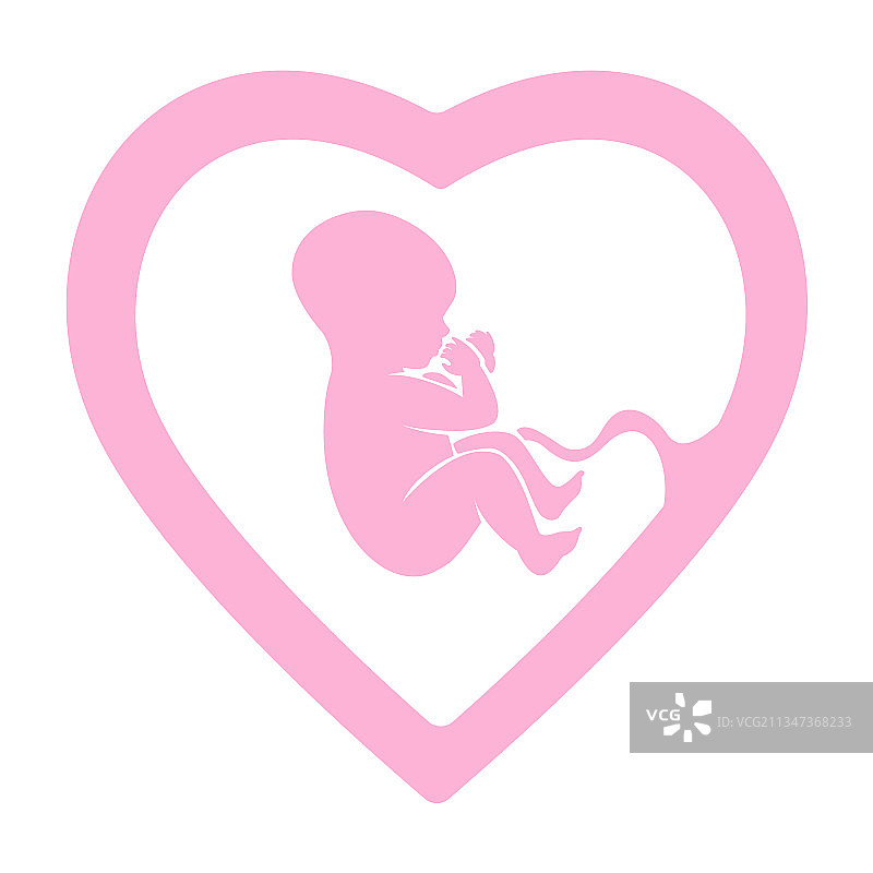 粉色心形胚胎中的婴儿图标图片素材
