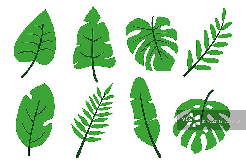 热带丛林树叶抽象绿色扁平风格素材图片素材
