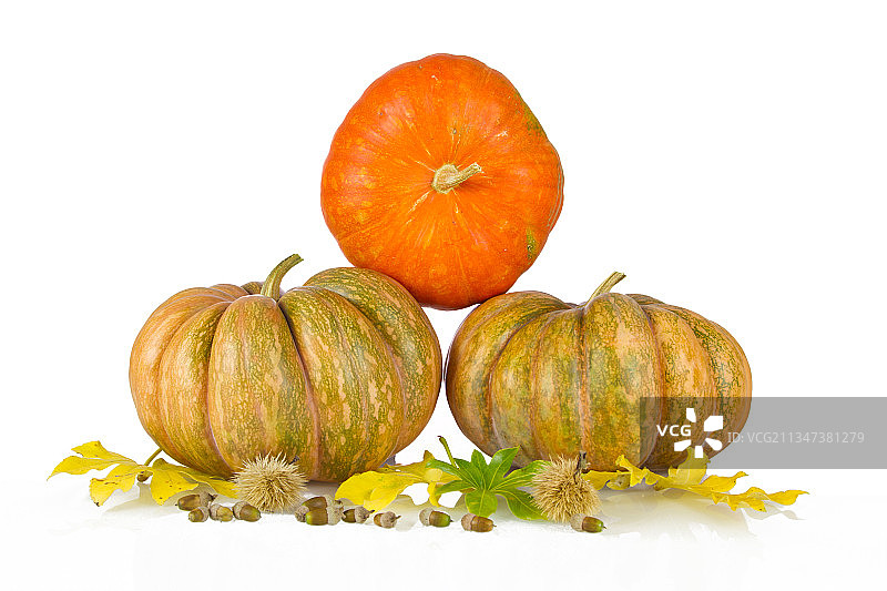 白色背景下的南瓜特写，意大利图片素材