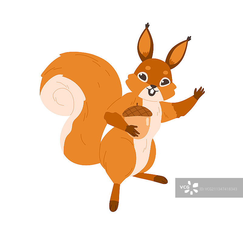 可爱快乐的松鼠微笑露出牙齿图片素材