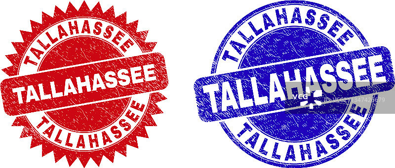 带有磨损的塔拉哈西圆形和花环海豹图片素材