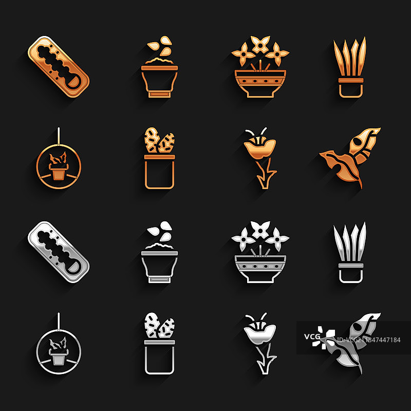 盆栽仙人掌佩奥特掌热带树叶图片素材