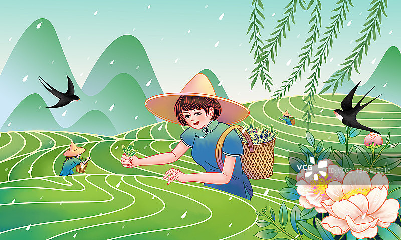 春分茶园采茶的女人插画海报图片素材
