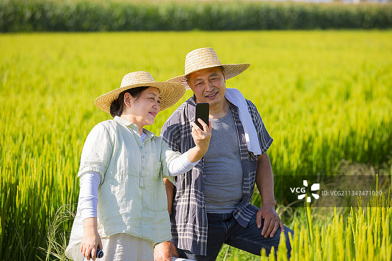 农民夫妻在稻田地里视频图片素材