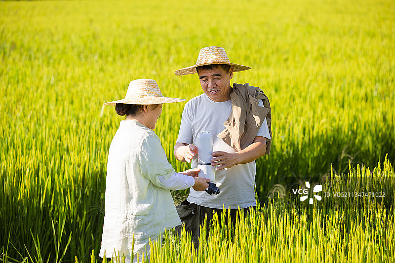 农民夫妻在稻田地里休息喝水图片素材
