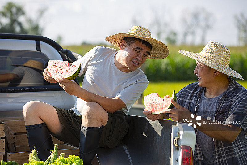 两个农民在运输蔬菜的汽车上吃西瓜休息聊天图片素材