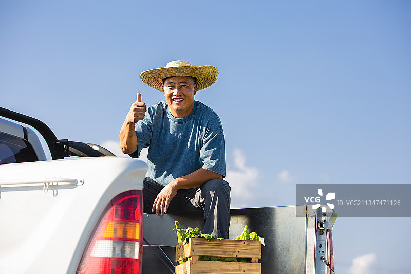 农民坐在搬运蔬菜的皮卡车上休息图片素材