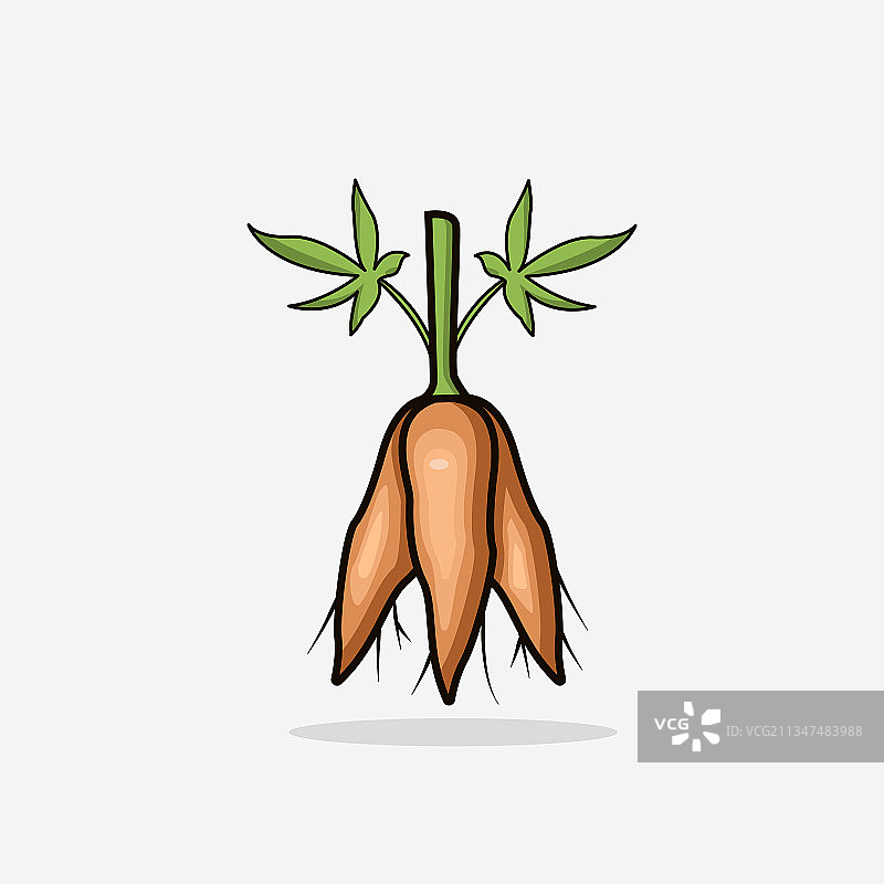 简约风格木薯独立设计图片素材