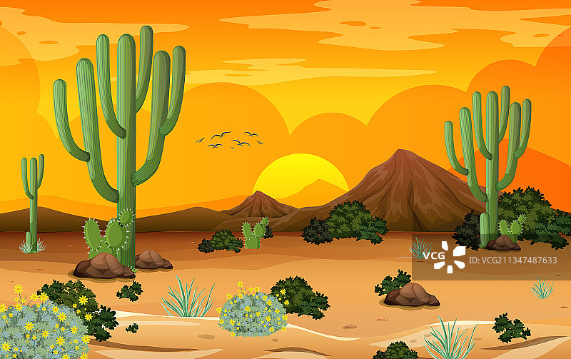 日落时分的沙漠森林景观图片素材