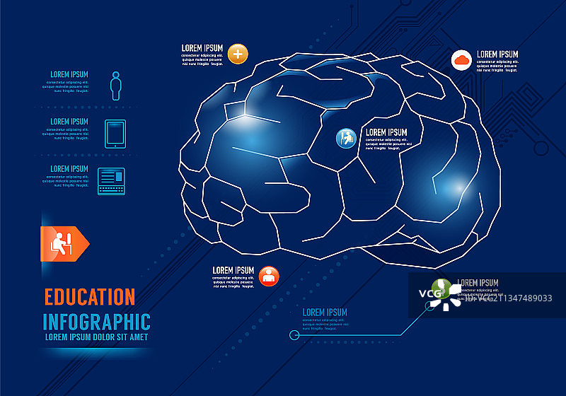 教育大脑概念设计信息图表图片素材