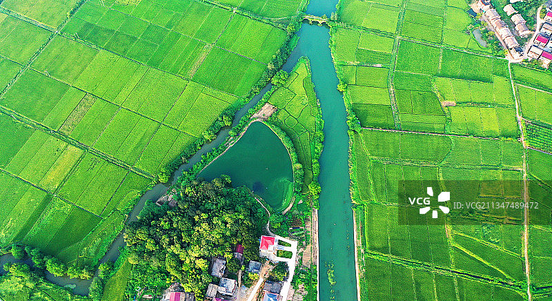 2021年9月9日，无人机镜头下上高县芦洲乡新桥村的稻田景色图片素材