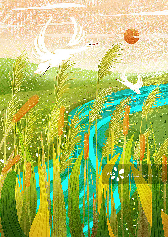 小清新肌理插画系列图片素材