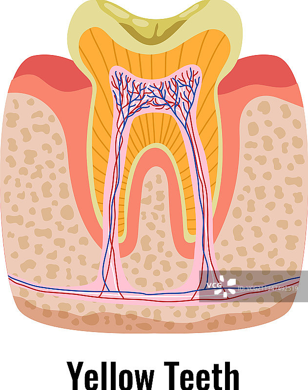 牙科问题海报图片素材