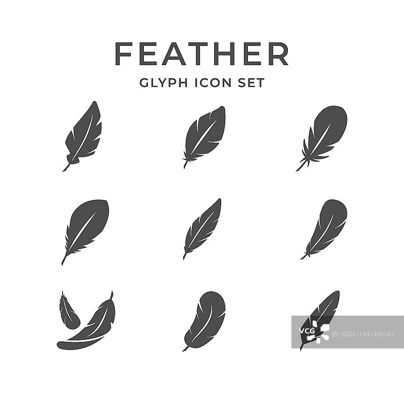羽毛线性图标集图片素材