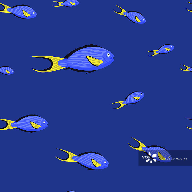 海洋生物无缝图案：索哈尔外科医生鱼图片素材